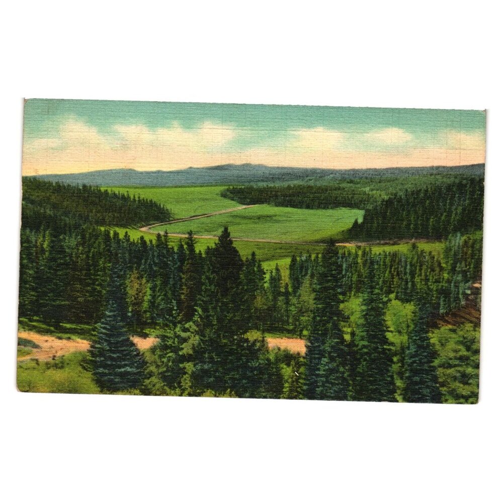 Postcard Big Horn Mountains Summit Meadows Wooded Hills Wyoming Highway US 16
